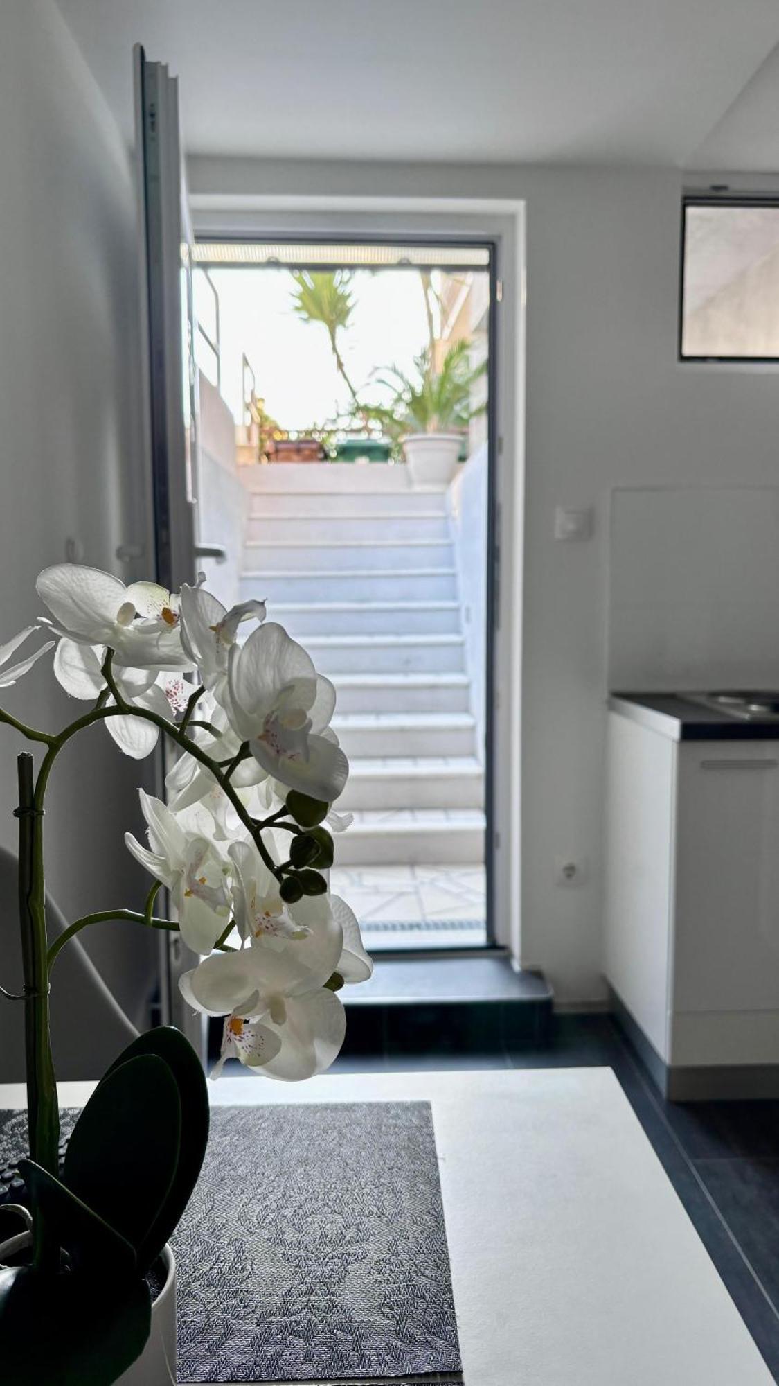 Apartman Branka *** 斯普利特 外观 照片